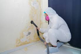 Best Commercial Mold Inspection  in Ledgewood, NJ